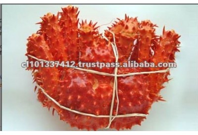 Best Quality and Hot Selling Chilean King Crab